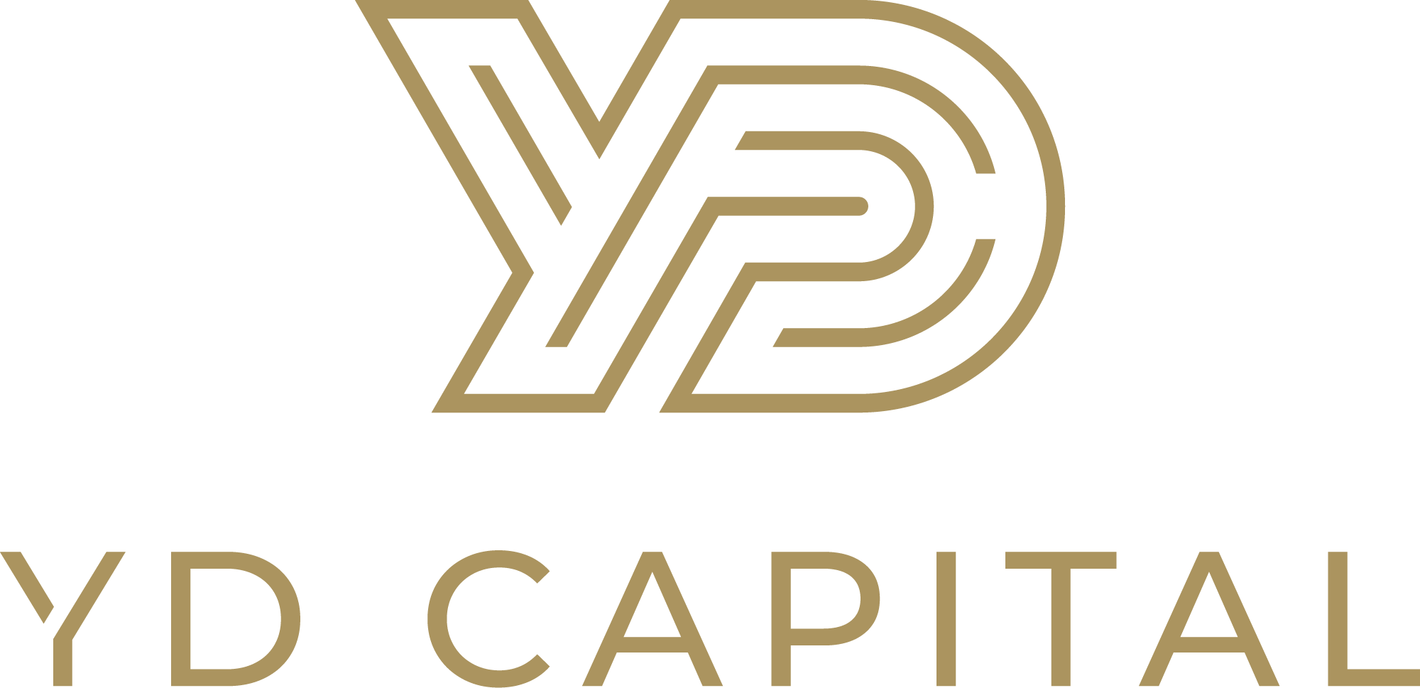 Logo YD Capital a.s.